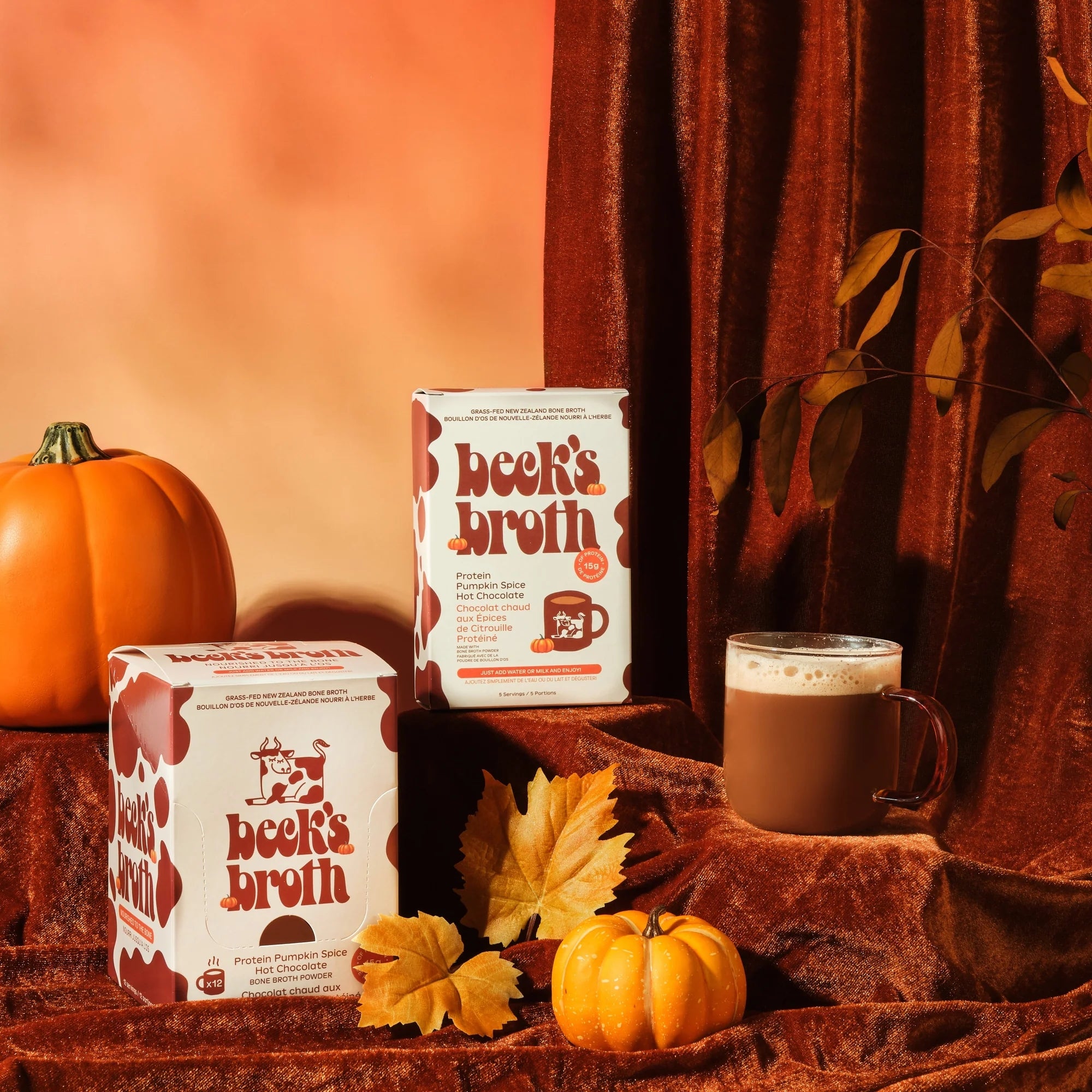 Protein Pumpkin Spice Hot Chocolate (12 Pack Carton)