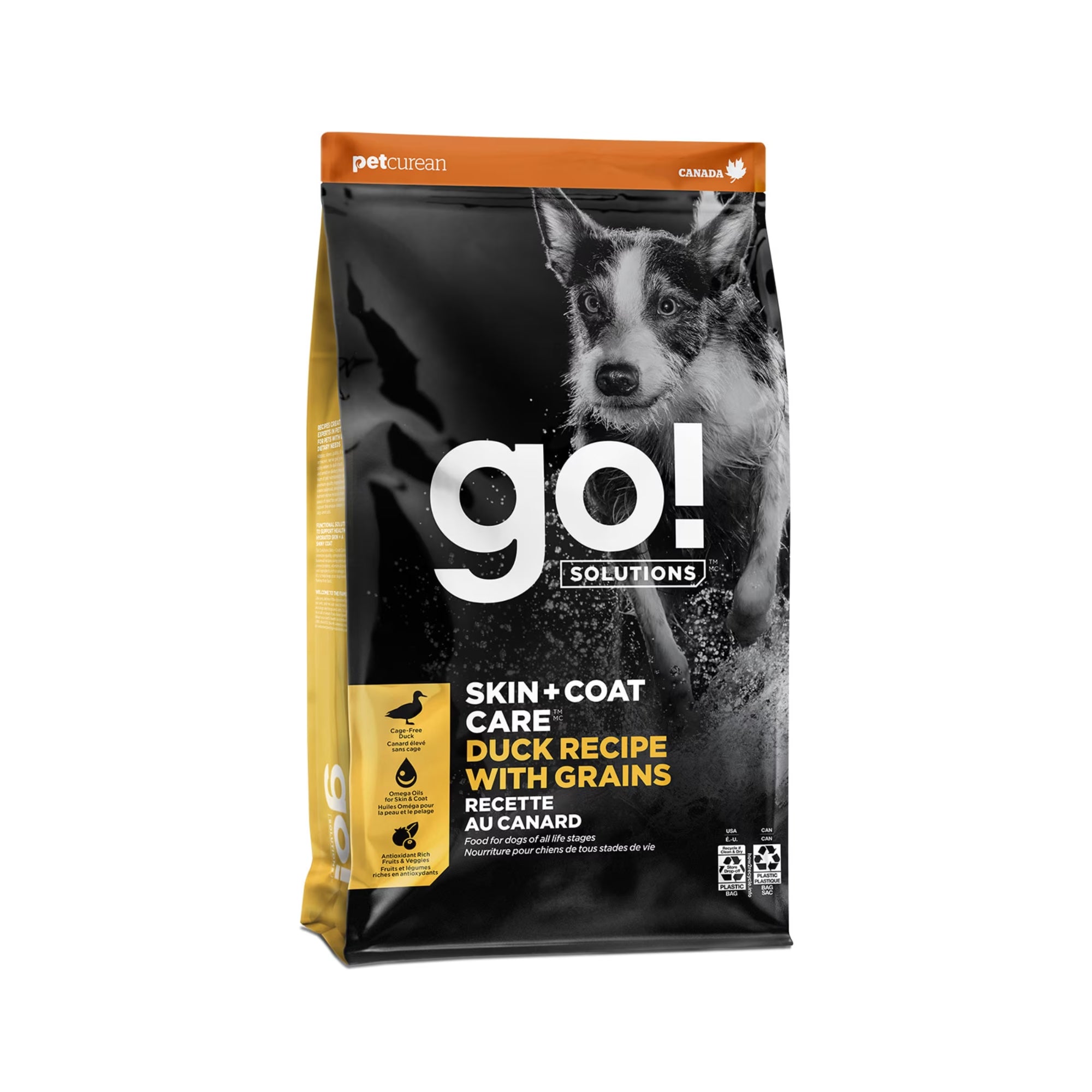 GO! SOLUTIONS DOG FOOD FOR HEALTHY COAT + SKIN - 12 LBS