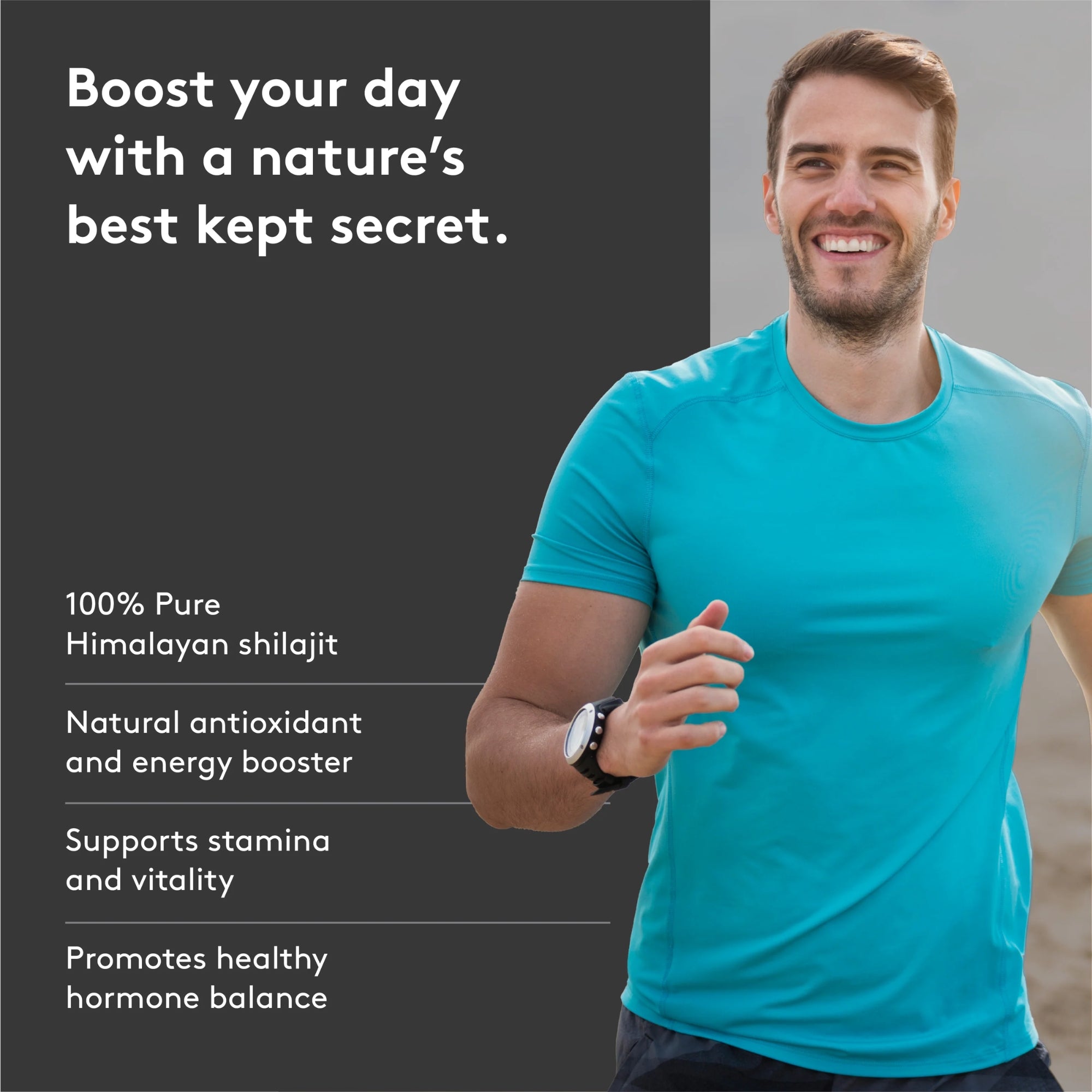 Shilajit Pure Himalayan Energy Boost - 90 capsules