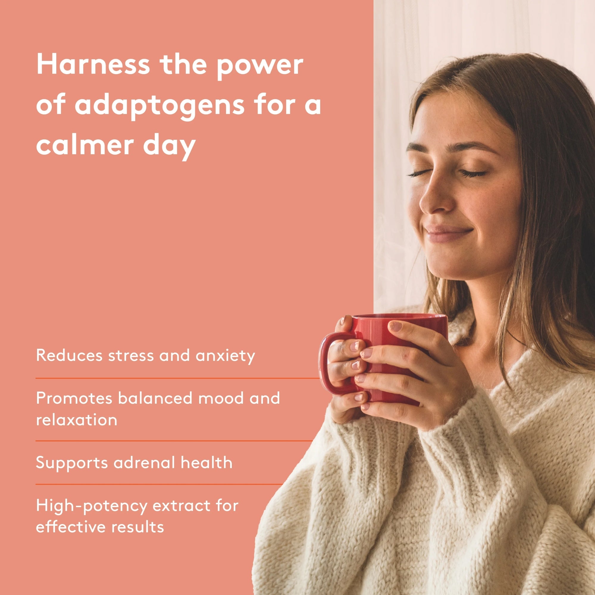 Ashwagandha 500 mg - 120 capsules