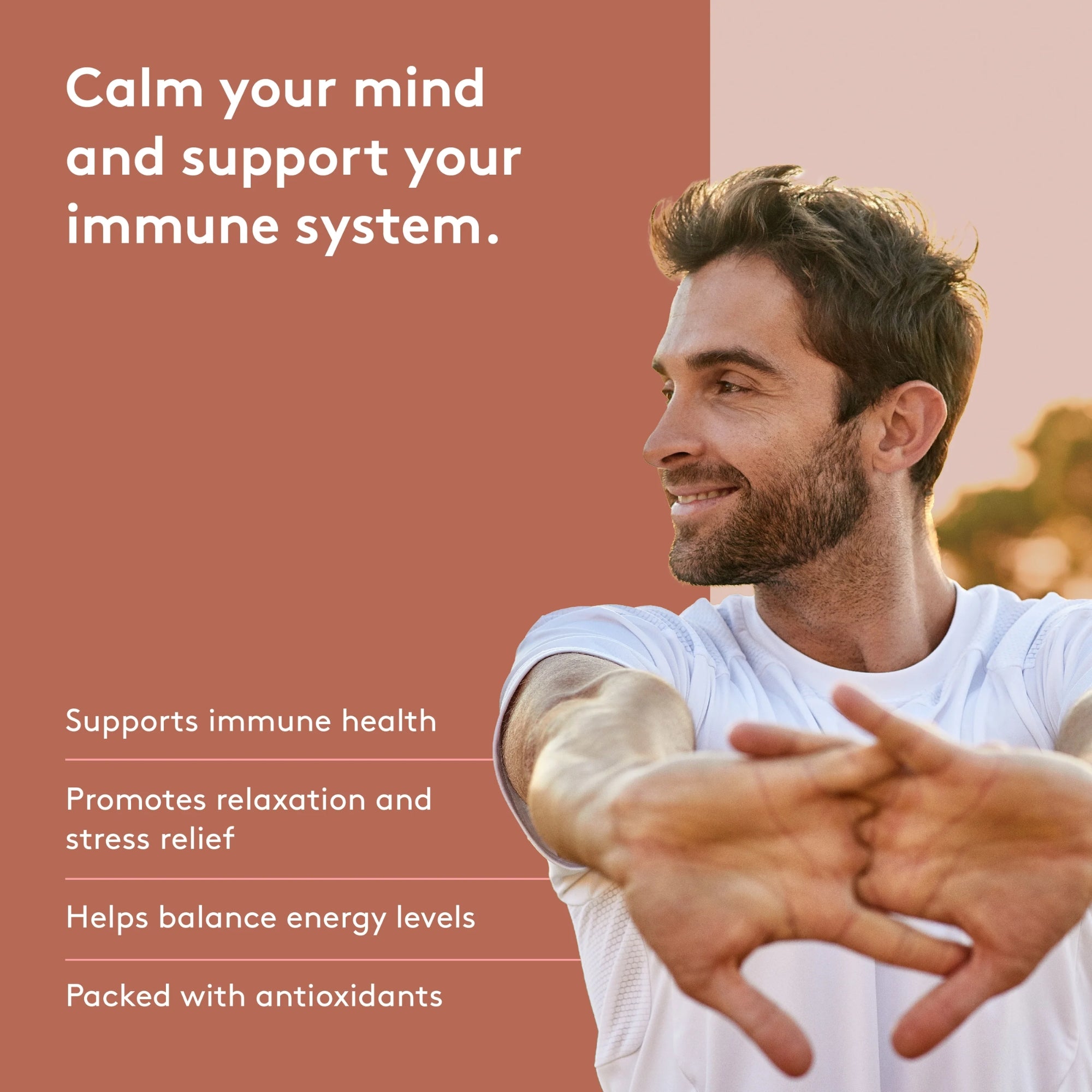 Reishi | Stress and Immune Support 500 mg - 120 capsules