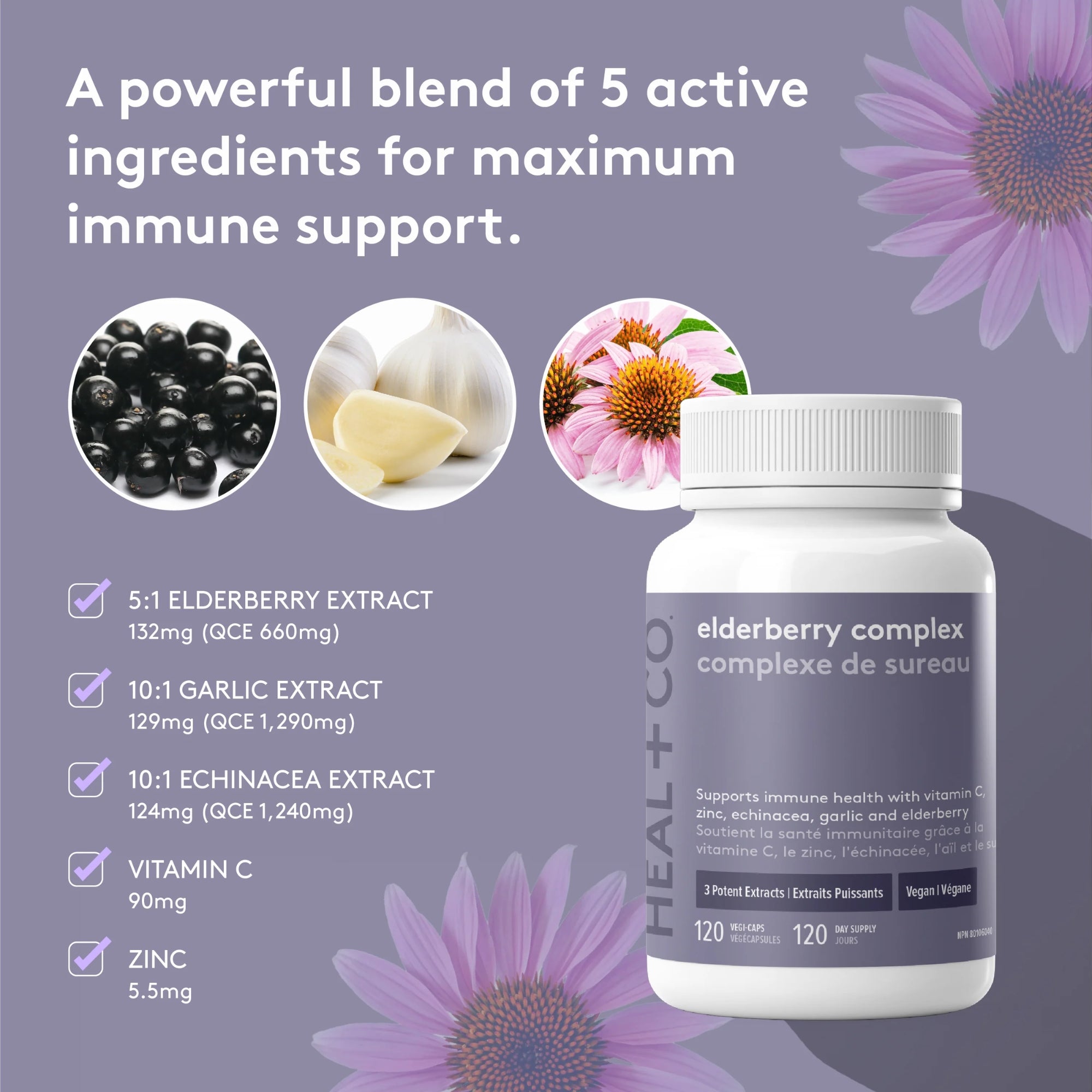 Elderberry Complex | Immune Support Blend - 120 capsules