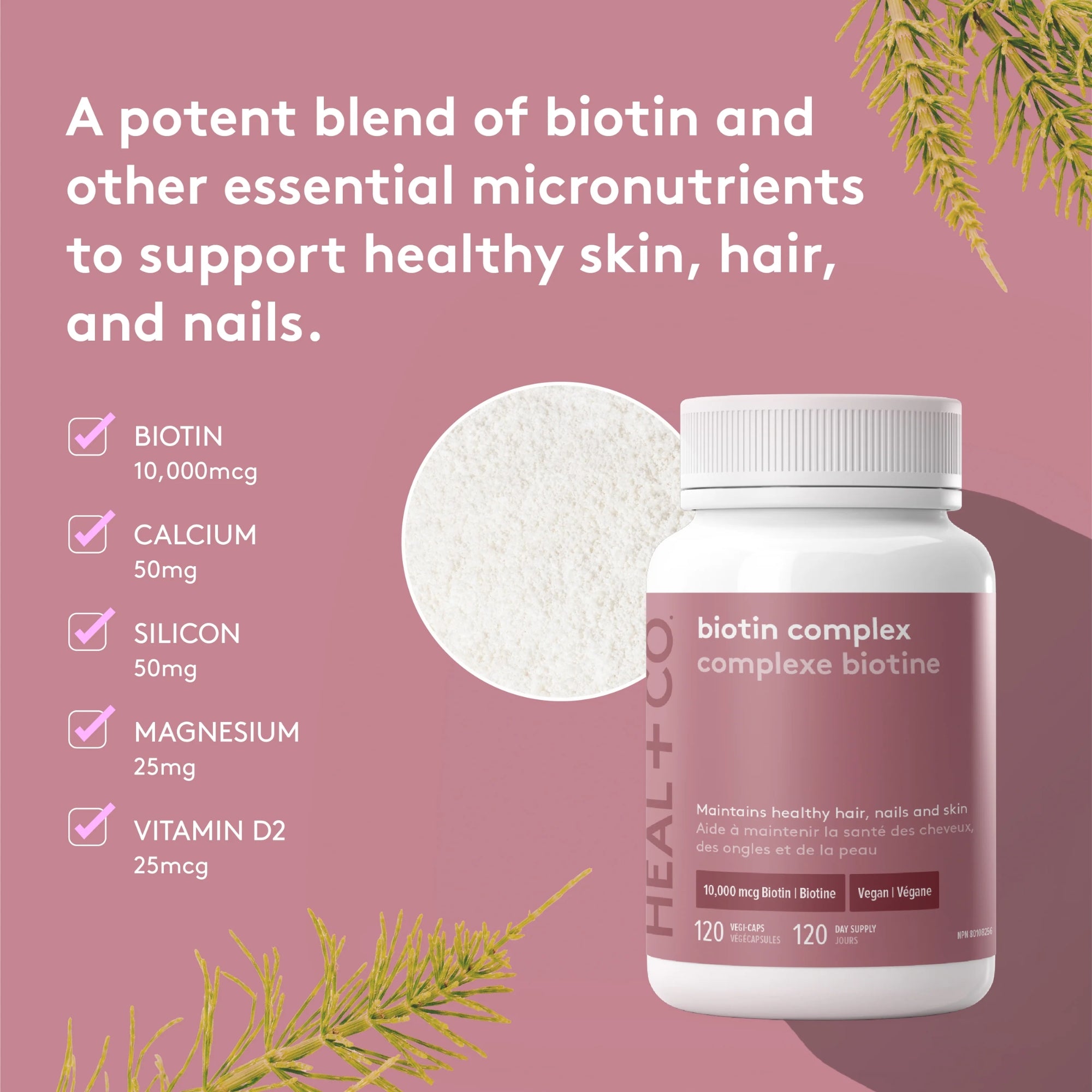 Biotin Complex 10000 mcg - 120 capsules