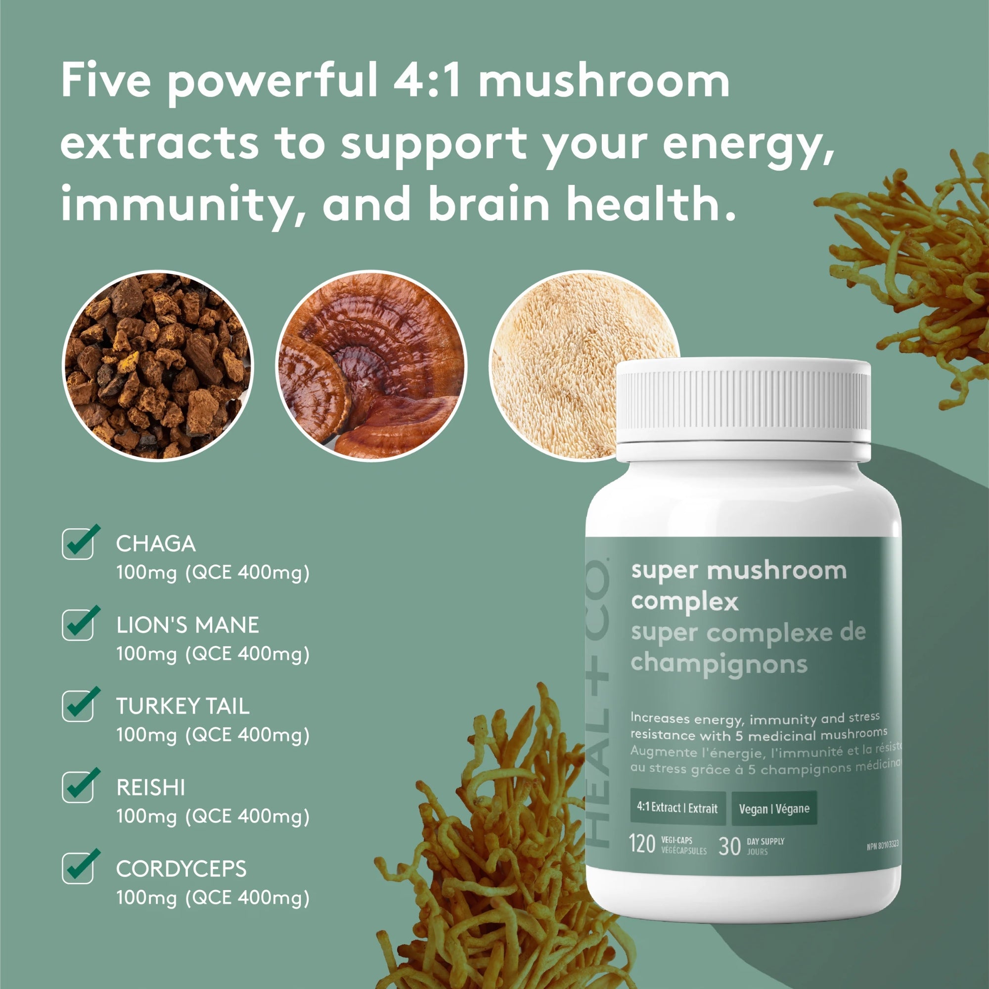 Super Mushroom Complex 500 mg - 120 capsules
