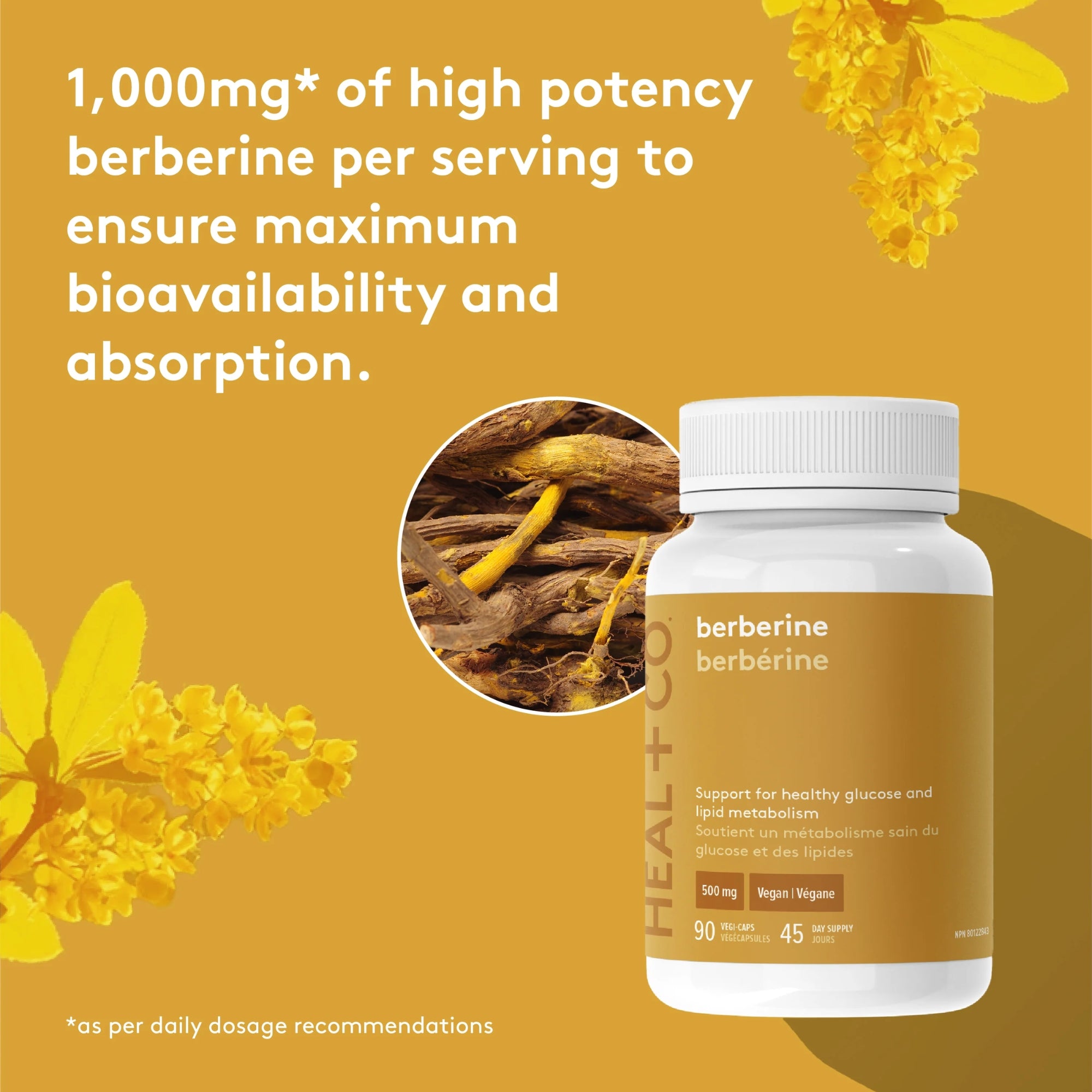 Berberine 500mg - 90 capsules