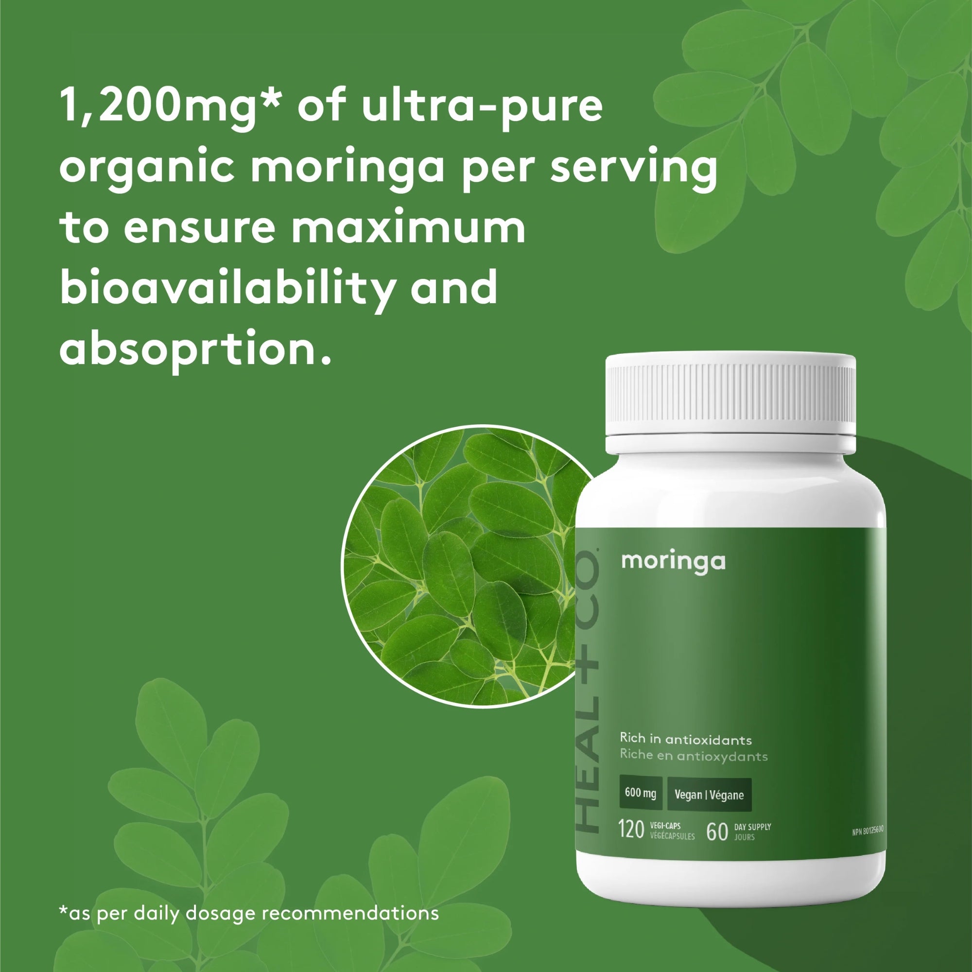 Organic Moringa 600 mg - 120 capsules
