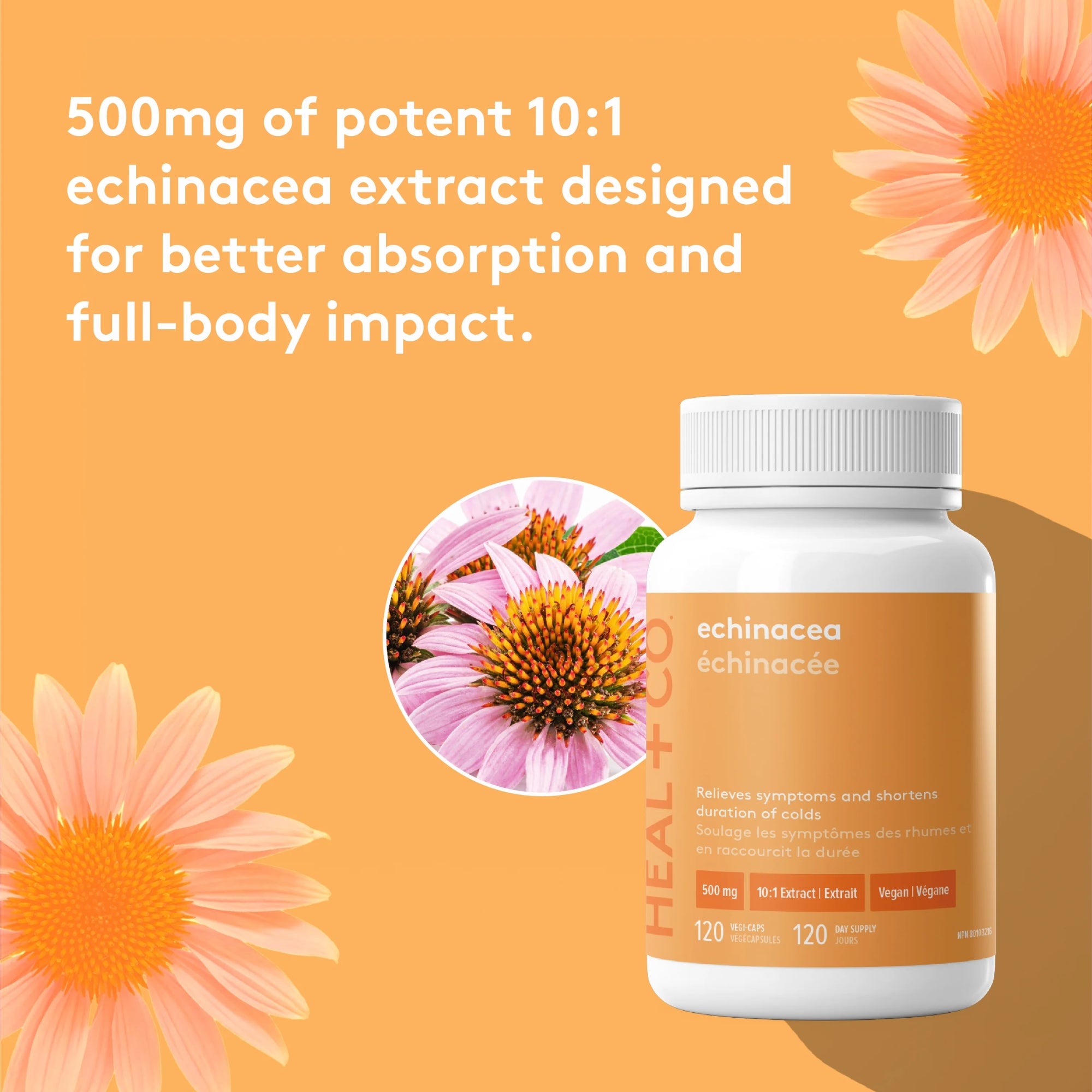 Echinacea 500 mg - 120 capsules