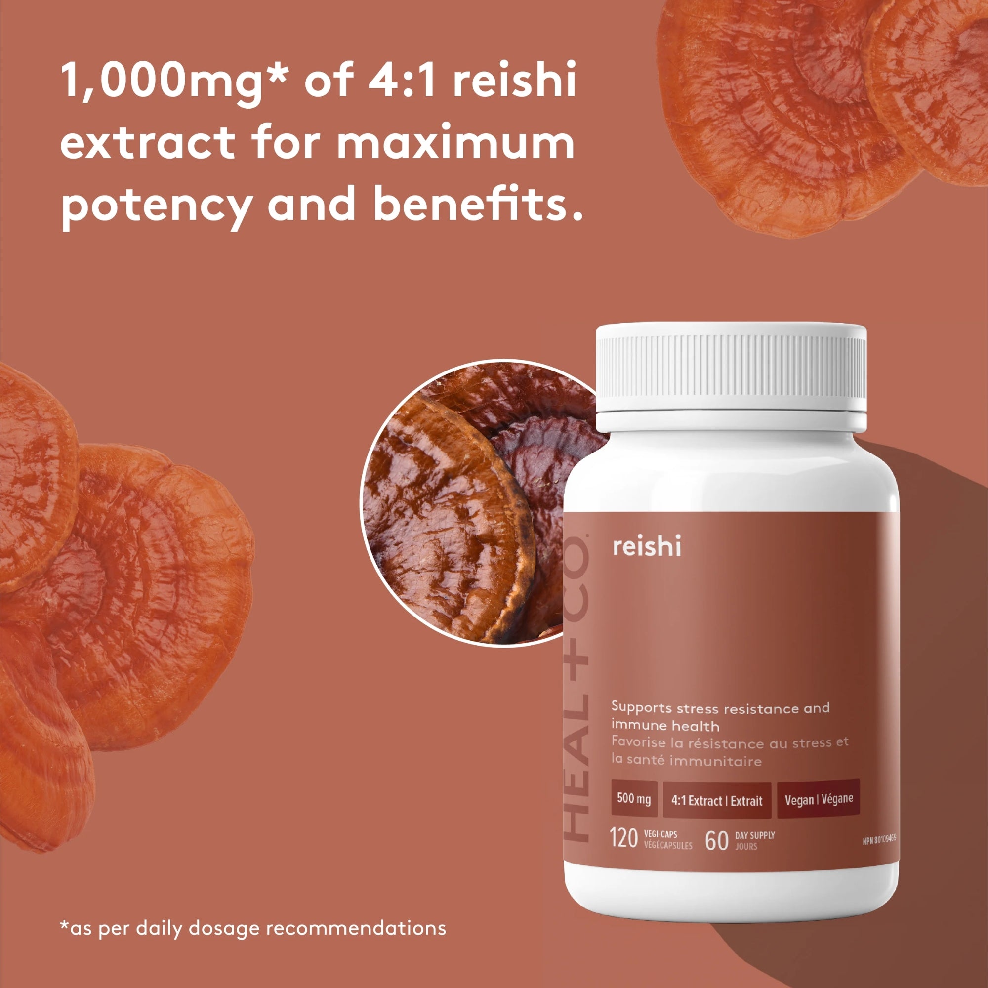 Reishi | Stress and Immune Support 500 mg - 120 capsules