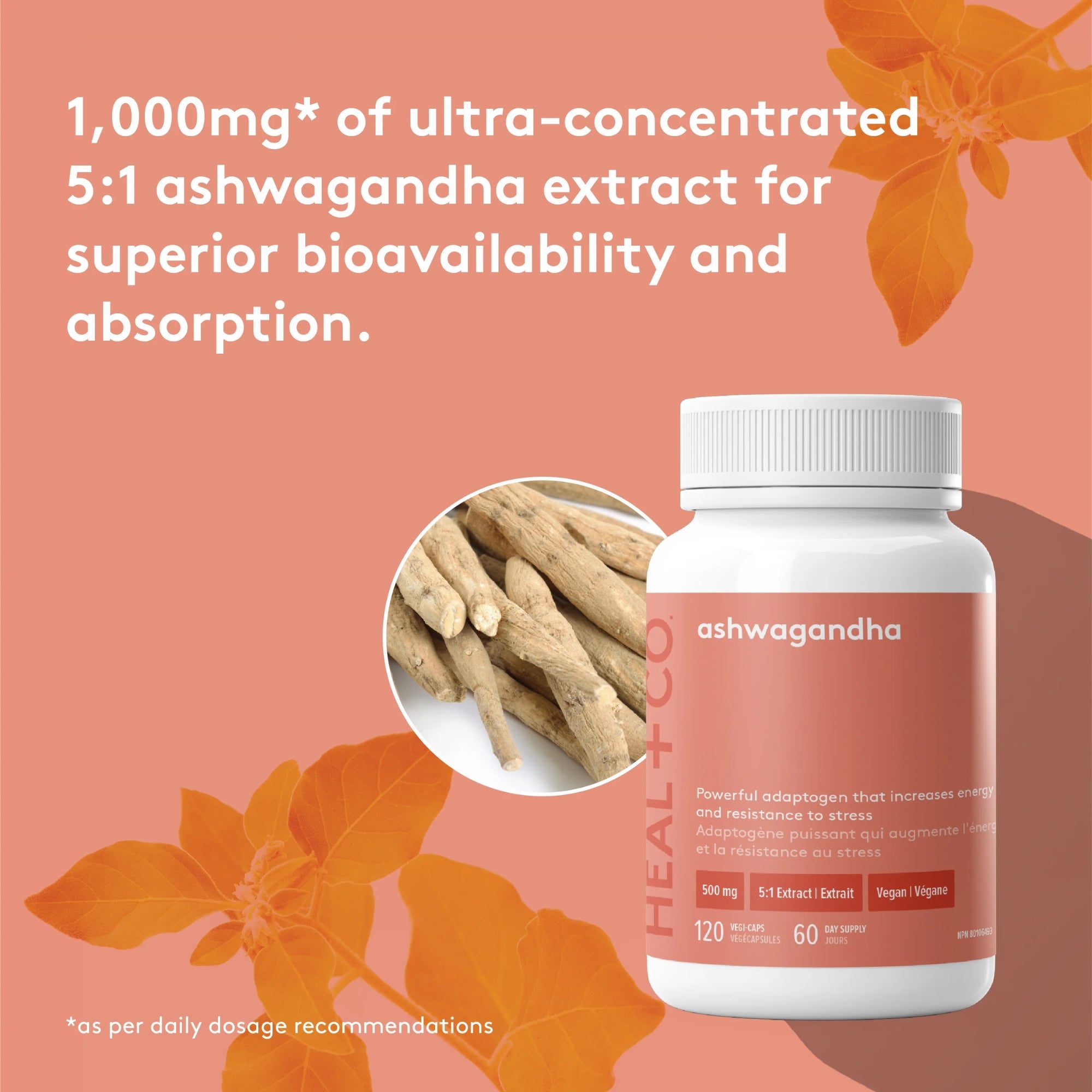 Ashwagandha 500 mg - 120 capsules