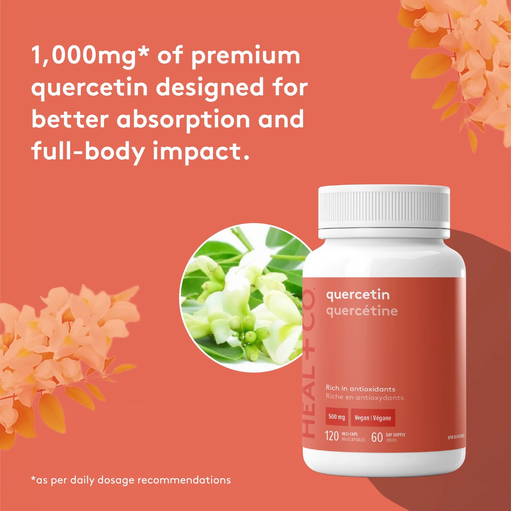 Quercetin 500 mg - 120 capsules
