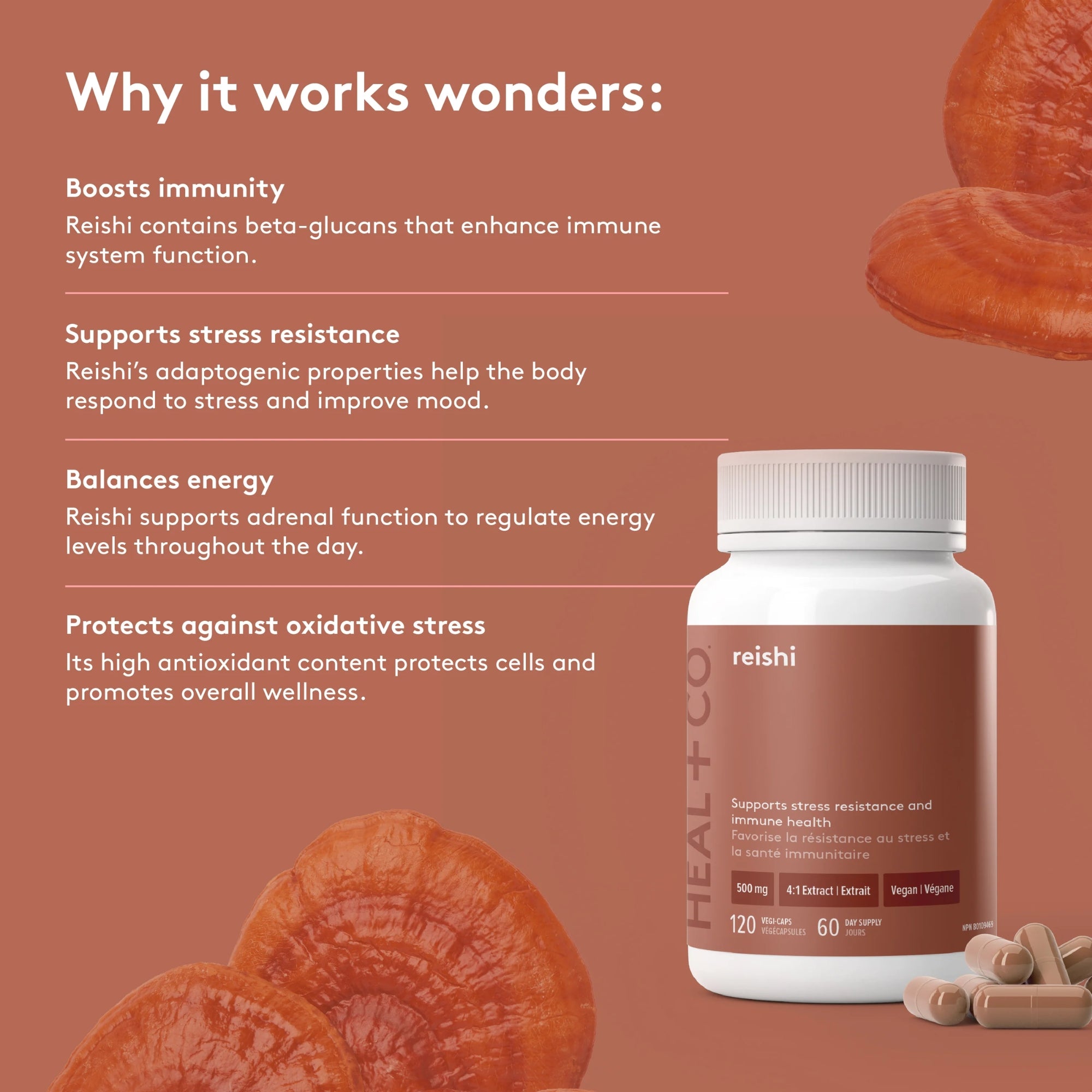 Reishi | Stress and Immune Support 500 mg - 120 capsules
