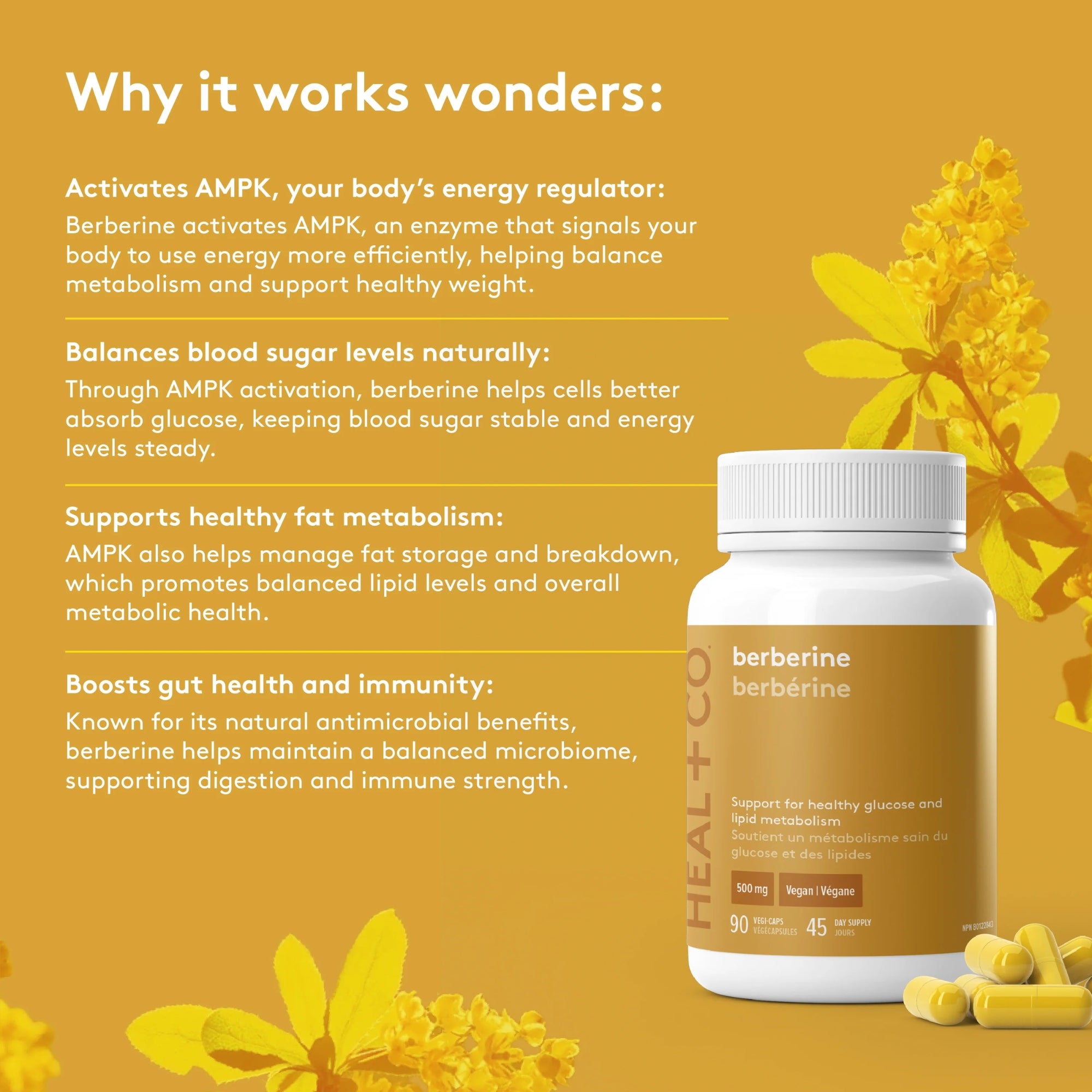 Berberine 500mg - 90 capsules