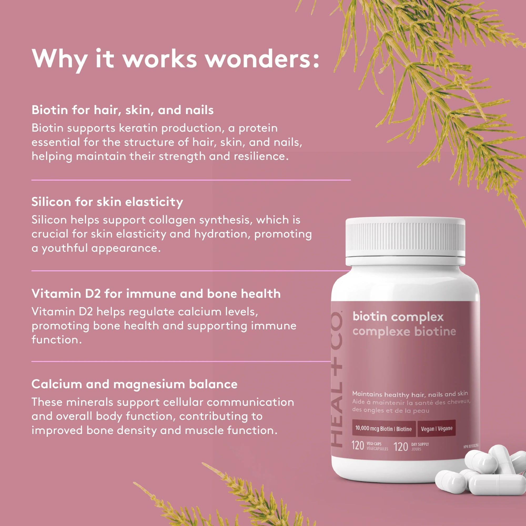 Biotin Complex 10000 mcg - 120 capsules