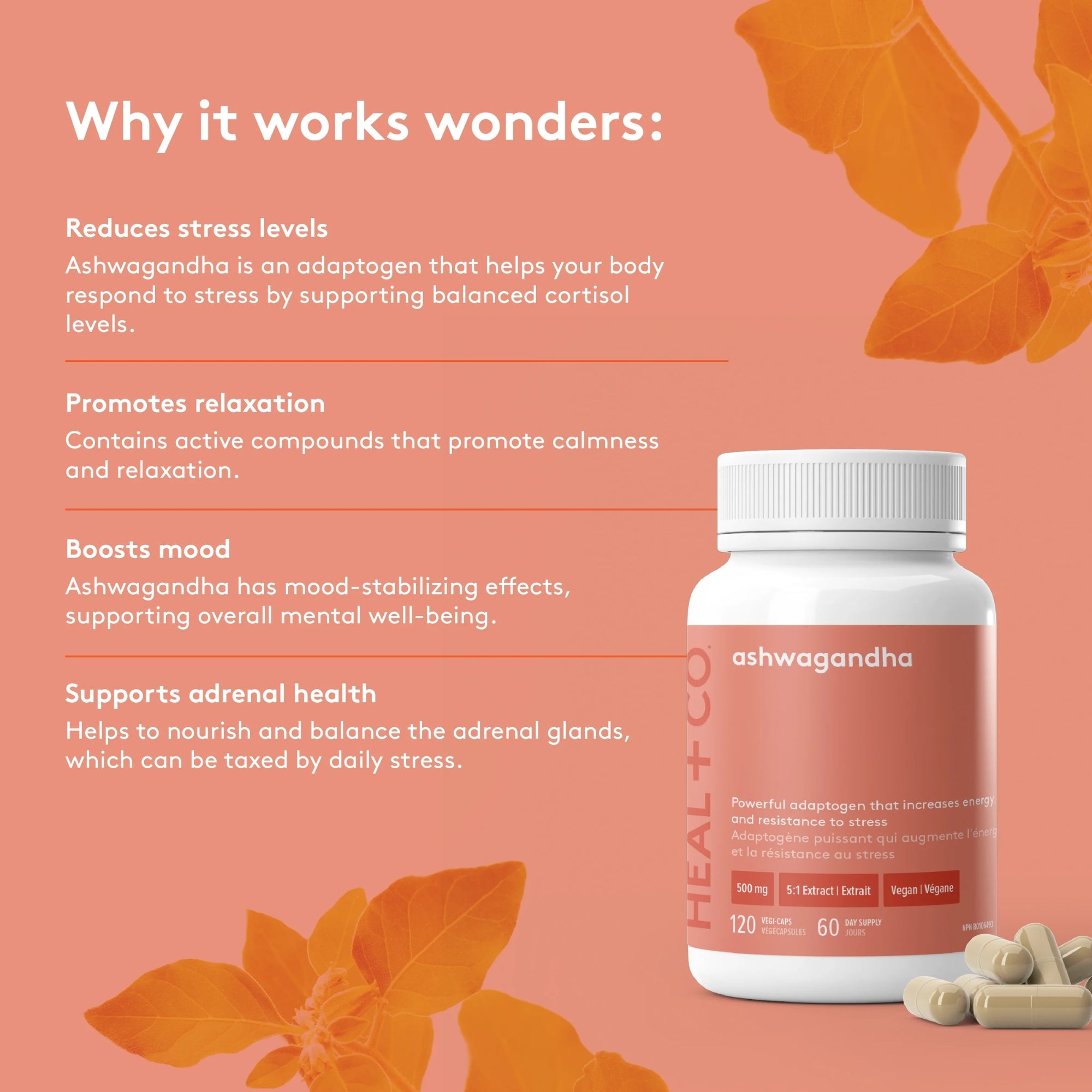 Ashwagandha 500 mg - 120 capsules