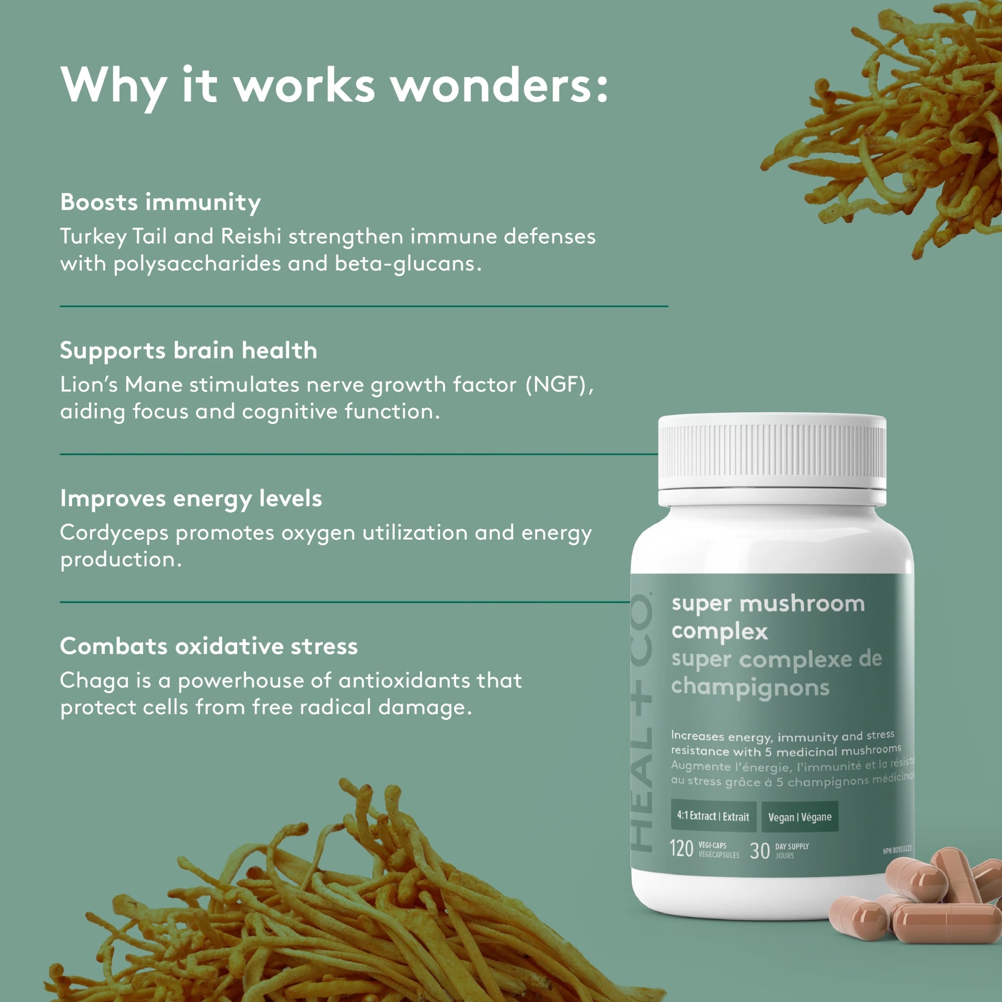 Super Mushroom Complex 500 mg - 120 capsules