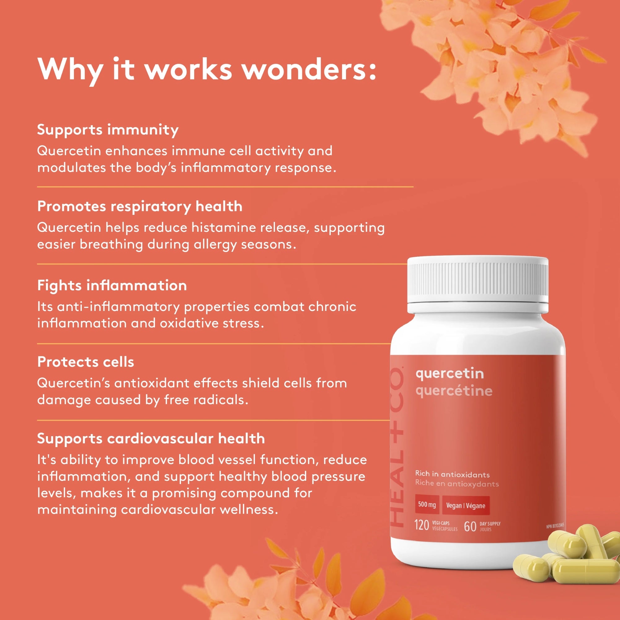 Quercetin 500 mg - 120 capsules