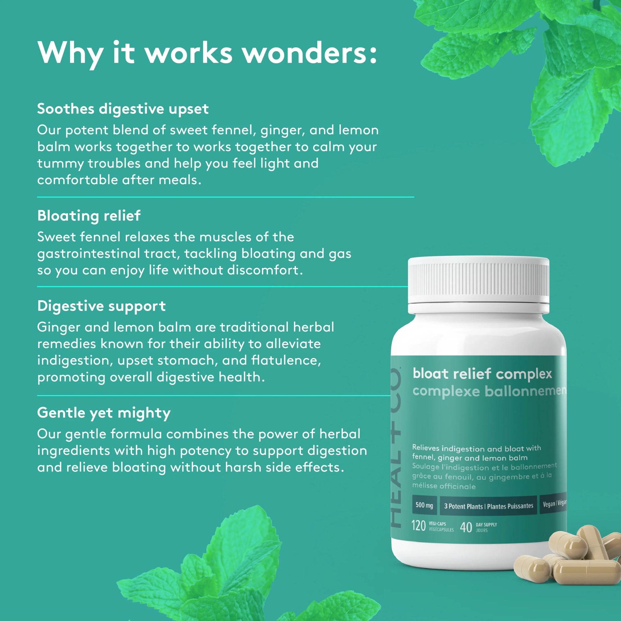 Bloat Relief Complex 500 mg - 120 capsules