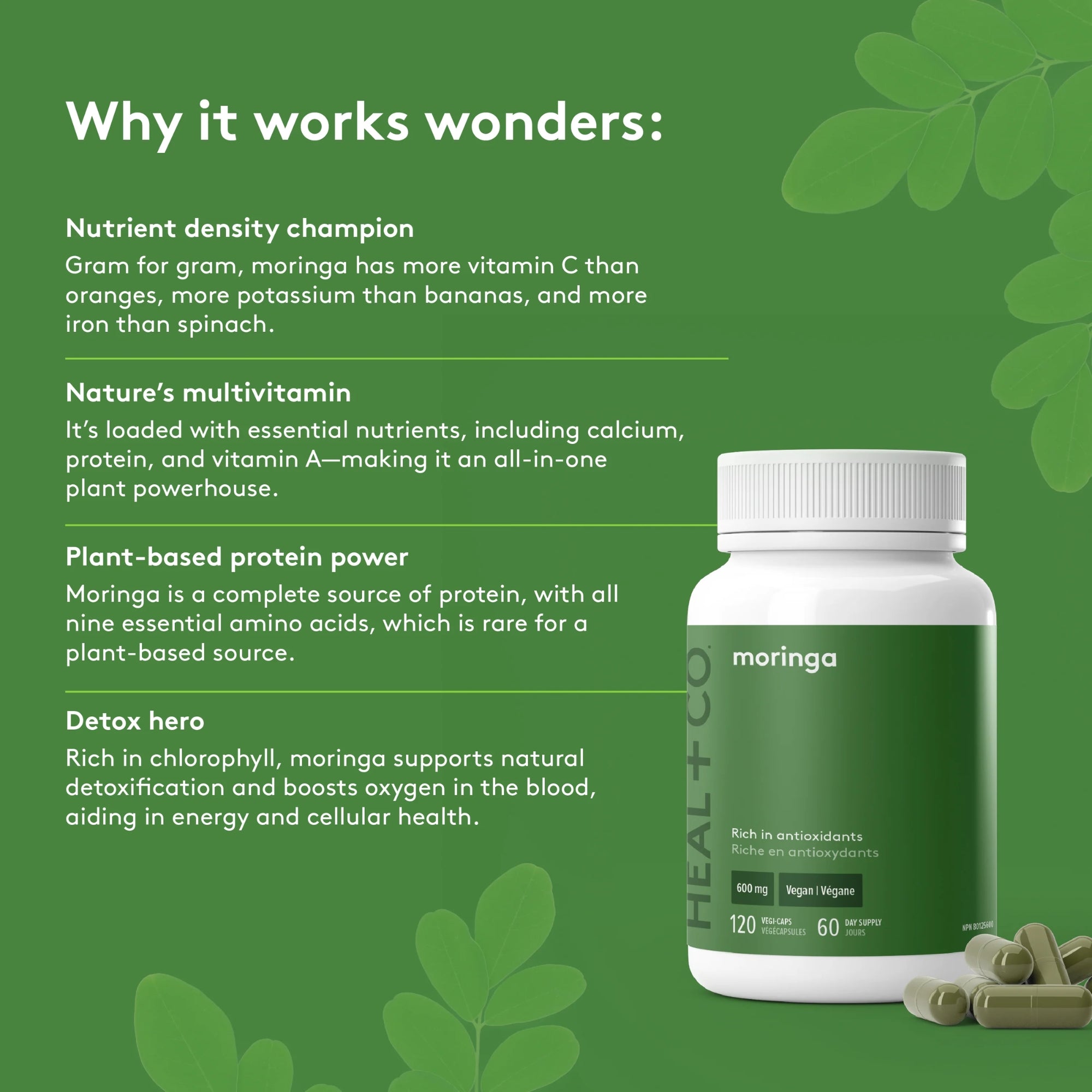 Organic Moringa 600 mg - 120 capsules