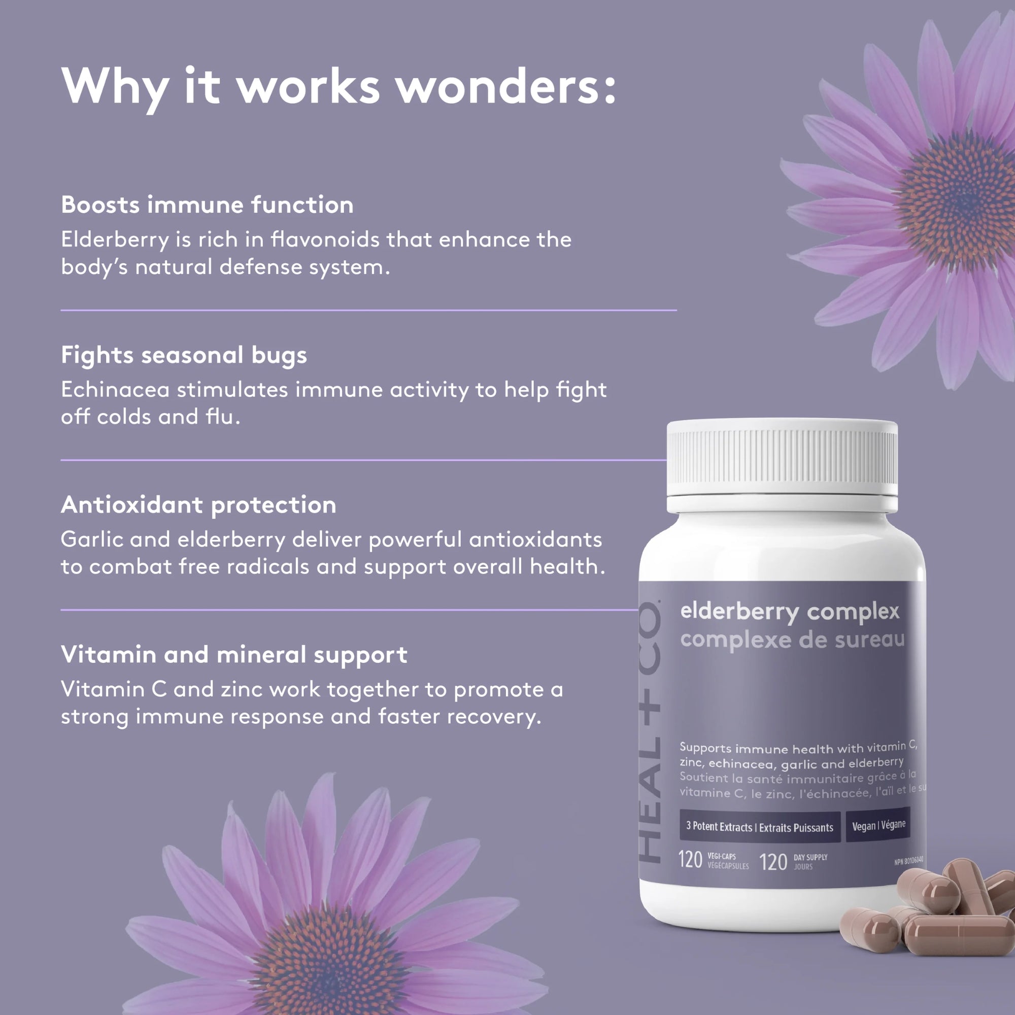 Elderberry Complex | Immune Support Blend - 120 capsules