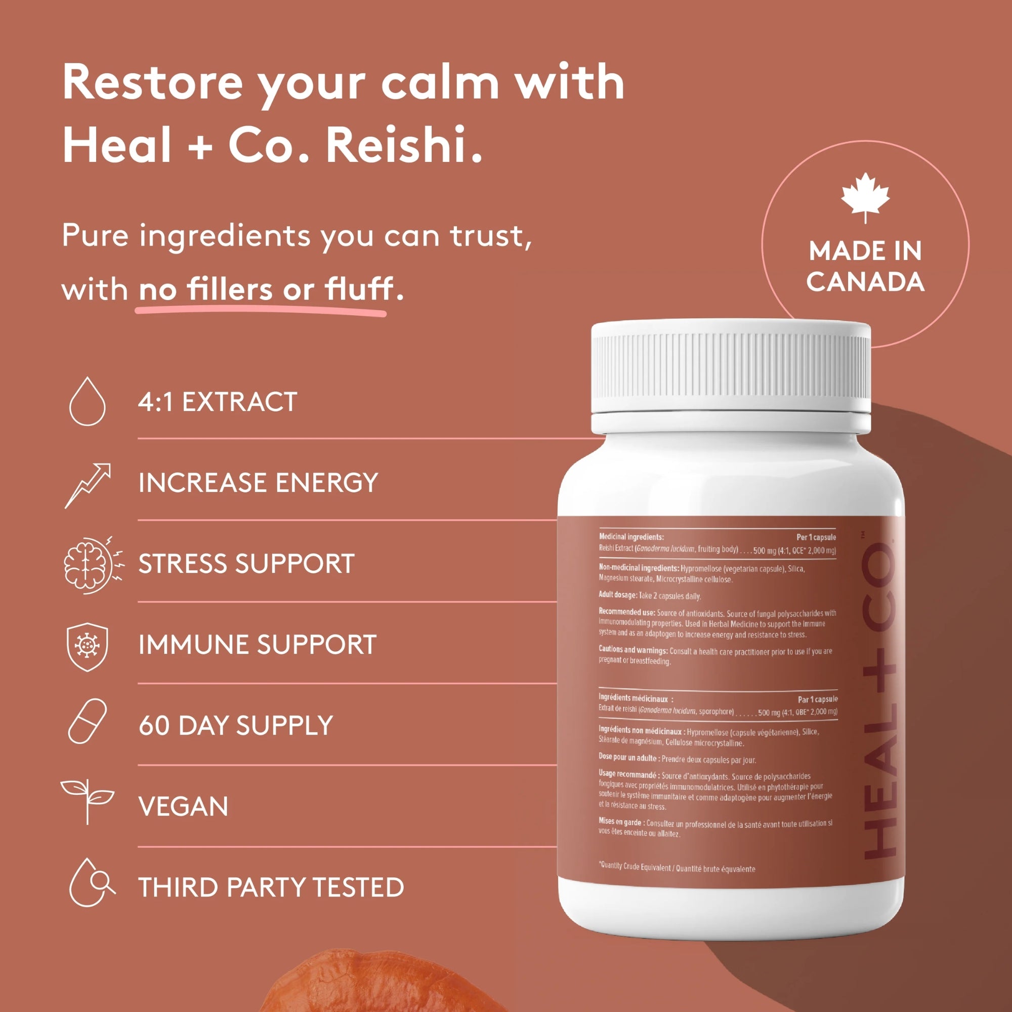 Reishi | Stress and Immune Support 500 mg - 120 capsules