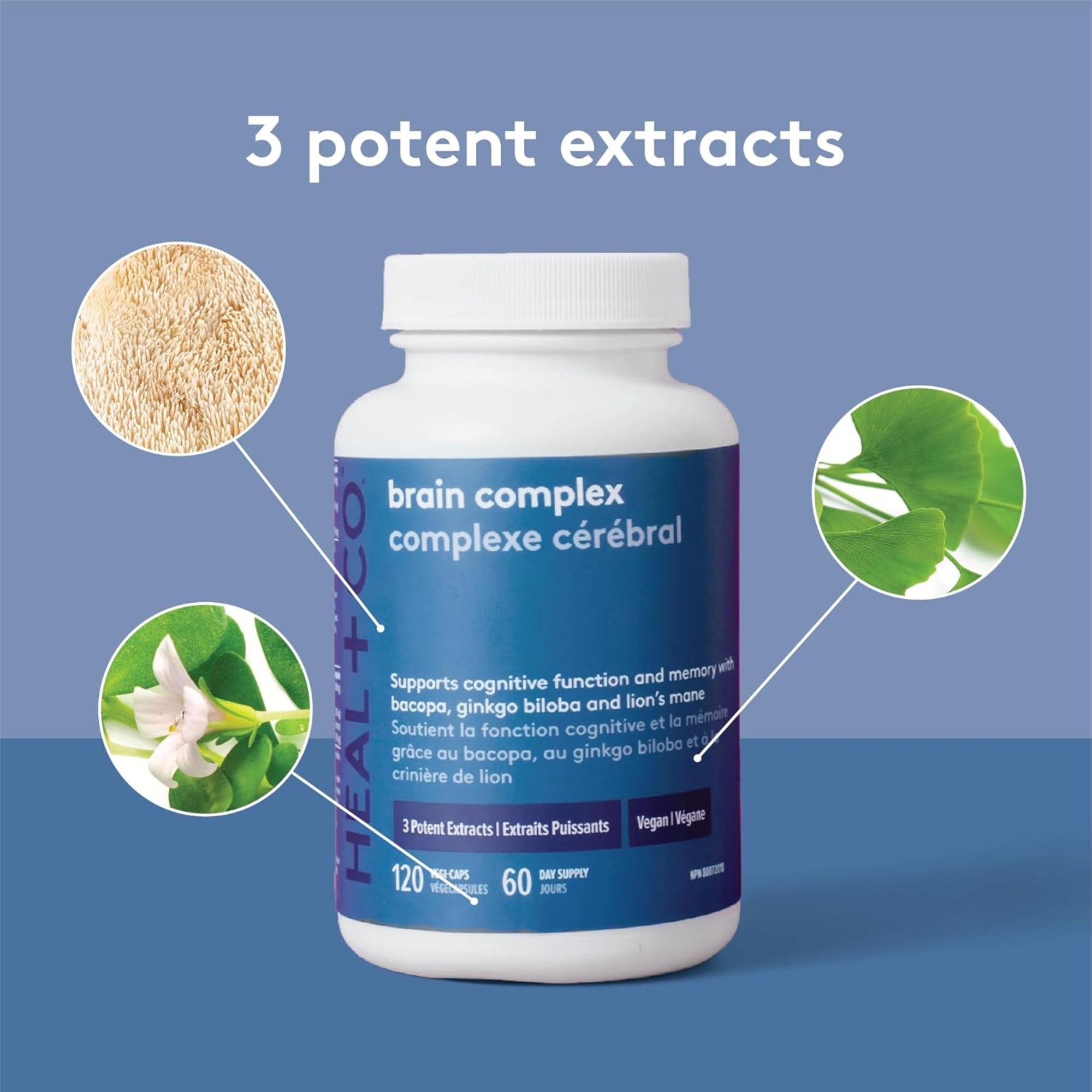 Brain Complex Memory + Cognition Supplement - 120 Capsules