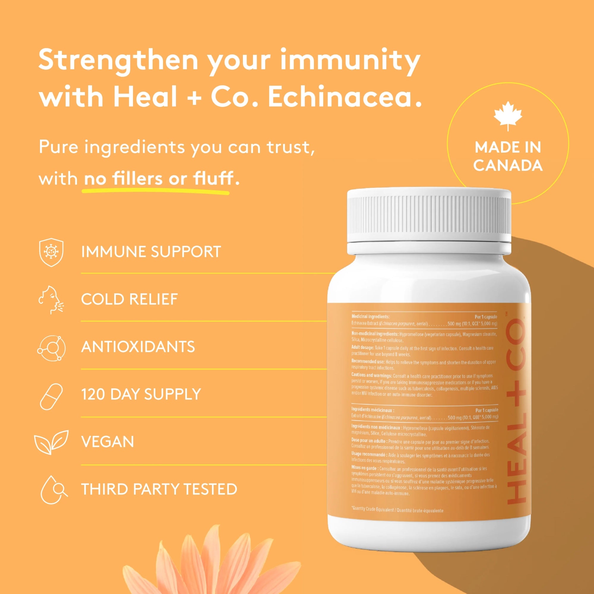 Echinacea 500 mg - 120 capsules
