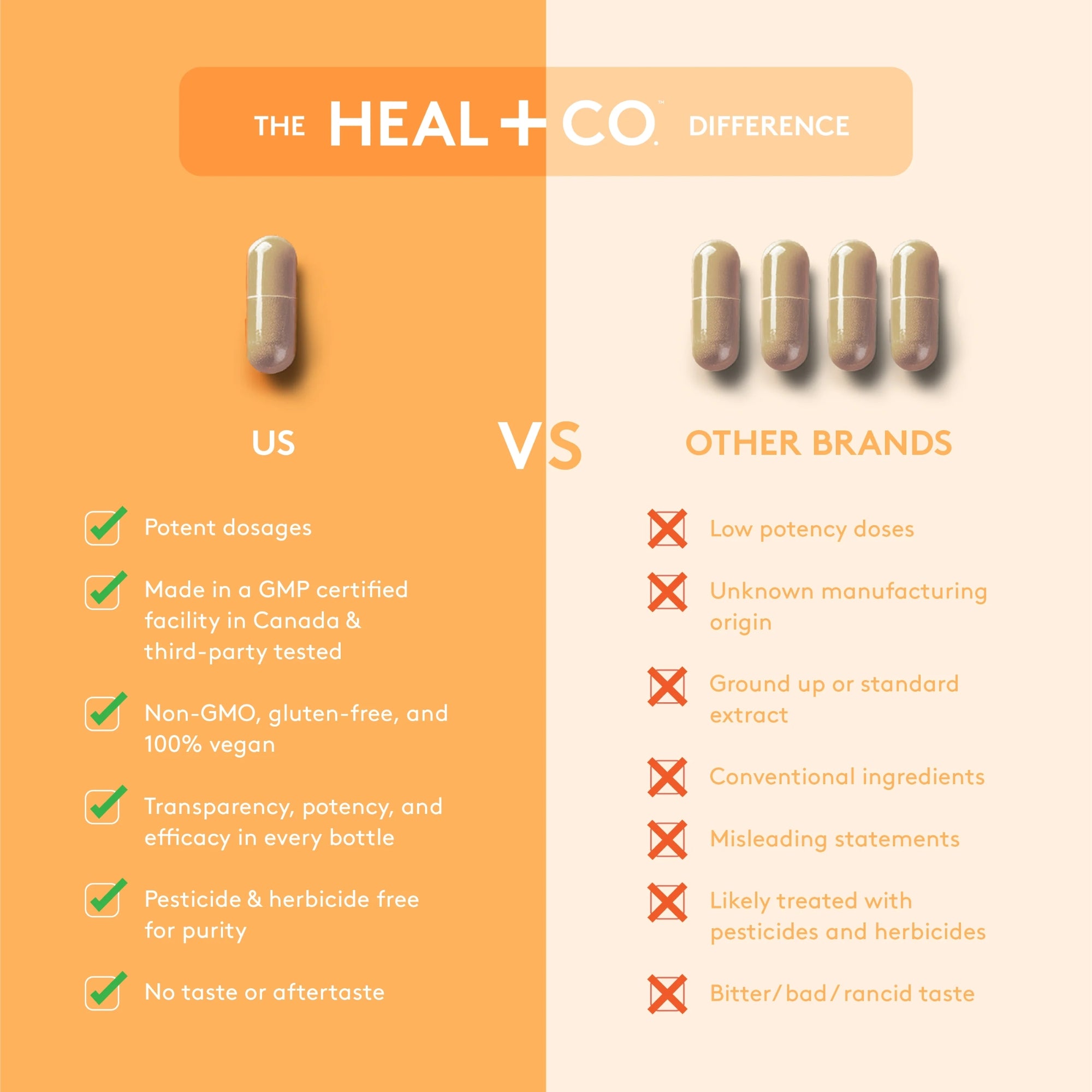Echinacea 500 mg - 120 capsules