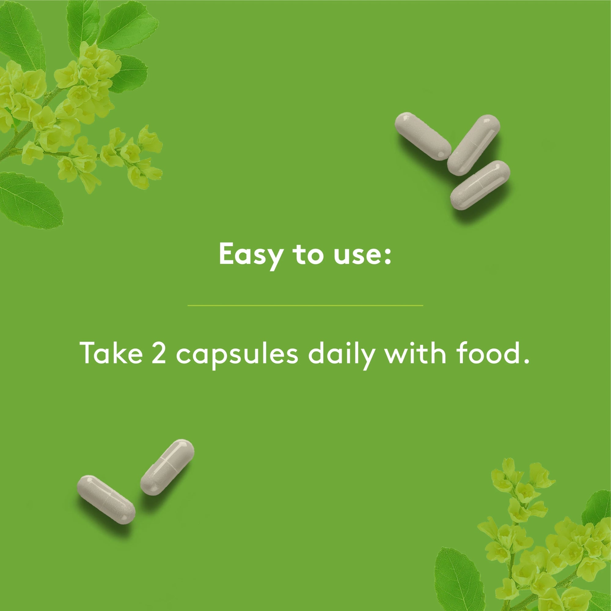 Joint Support Complex - 120 capsules