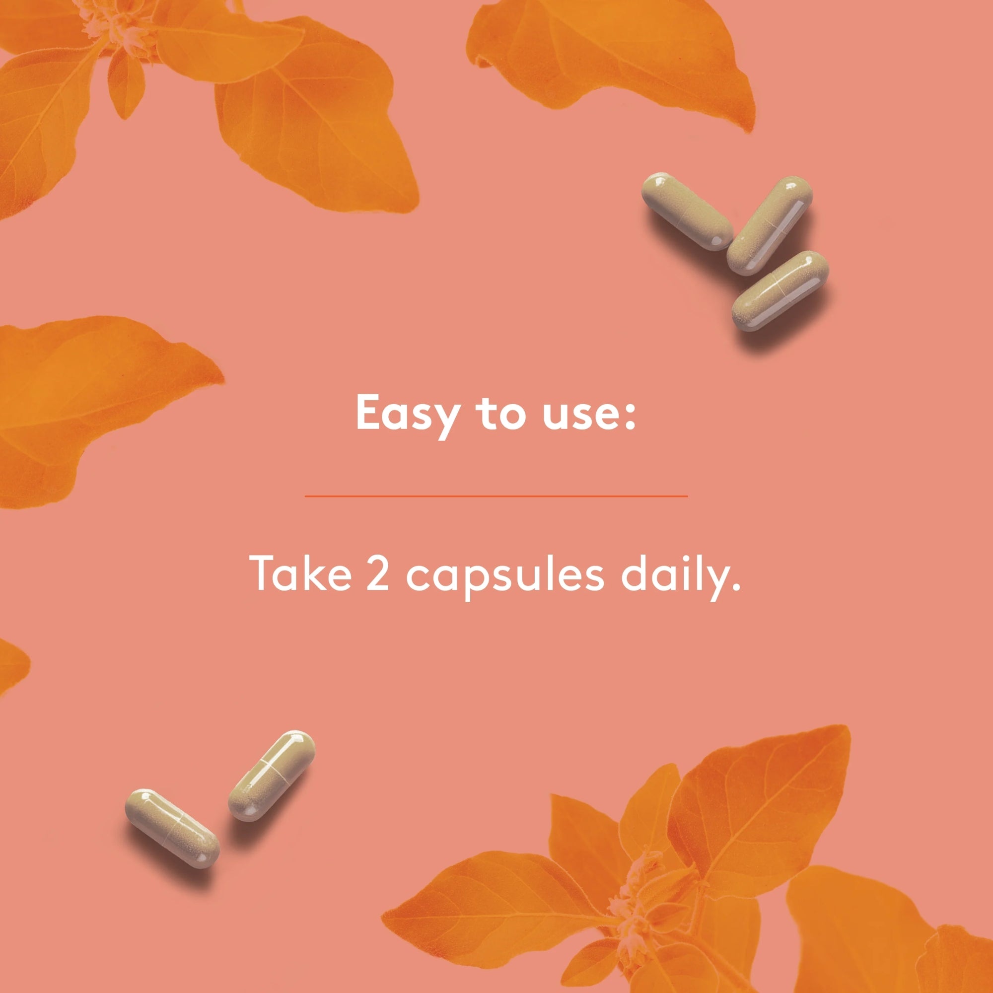 Ashwagandha 500 mg - 120 capsules