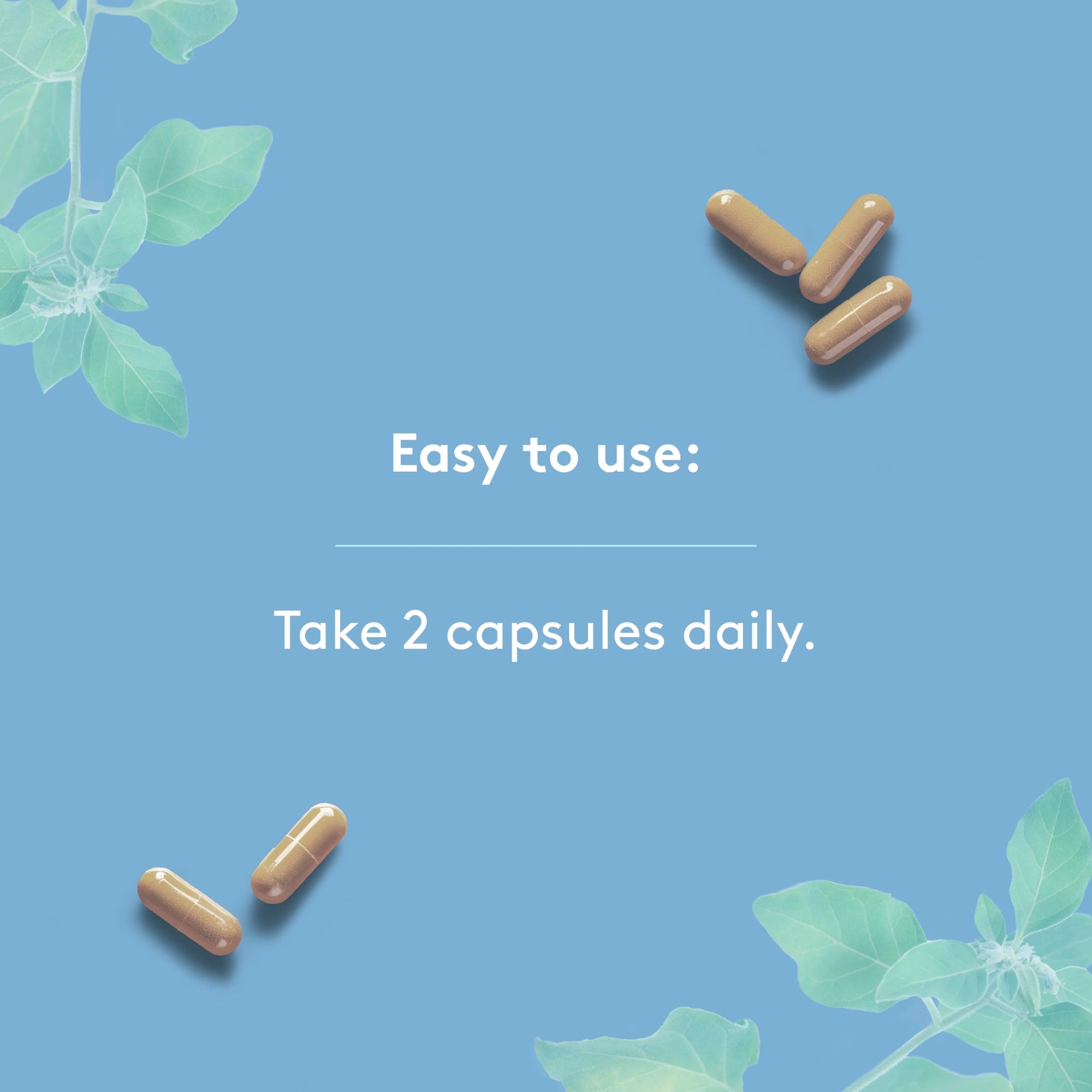 Stress Complex 500 mg - 120 capsules