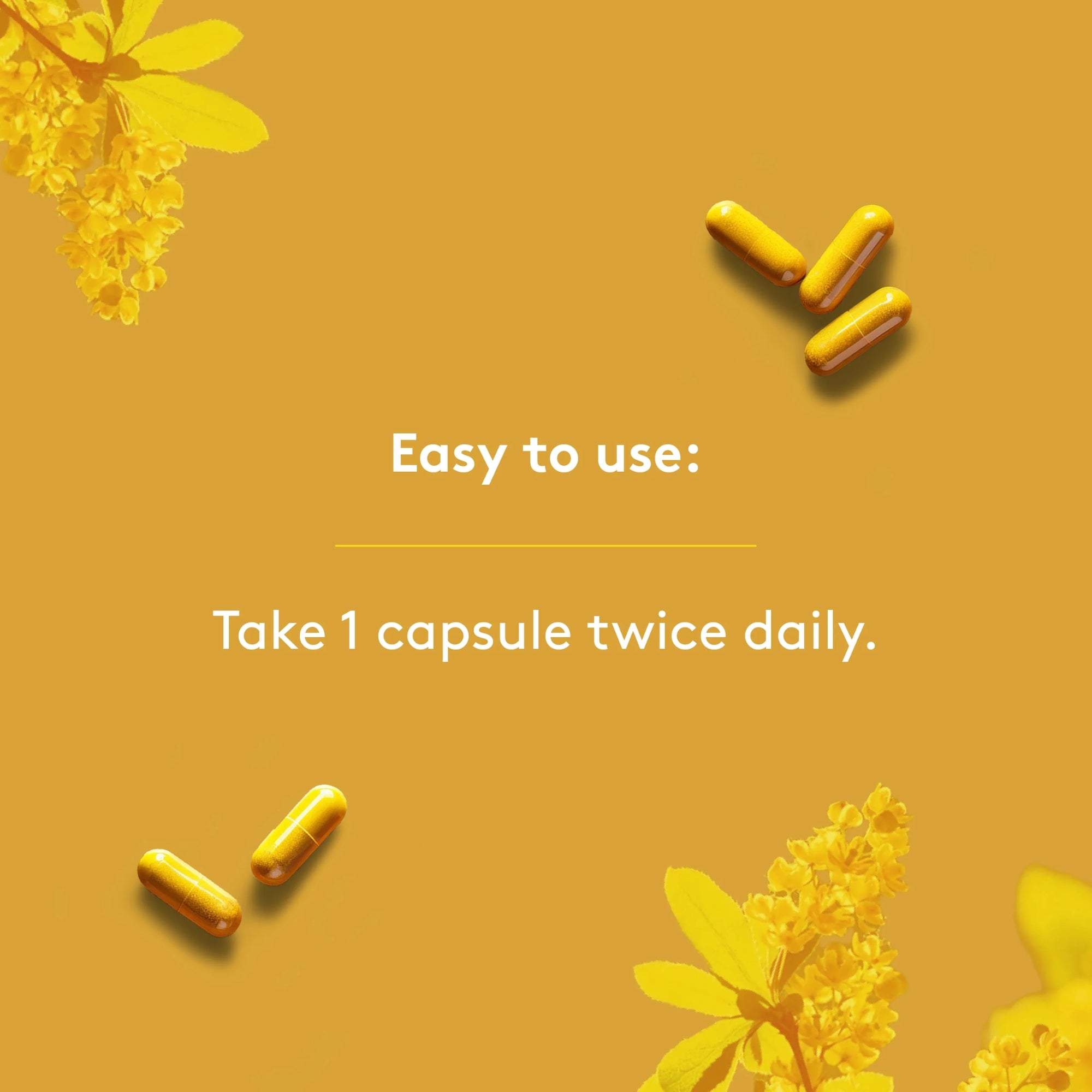 Berberine 500mg - 90 capsules