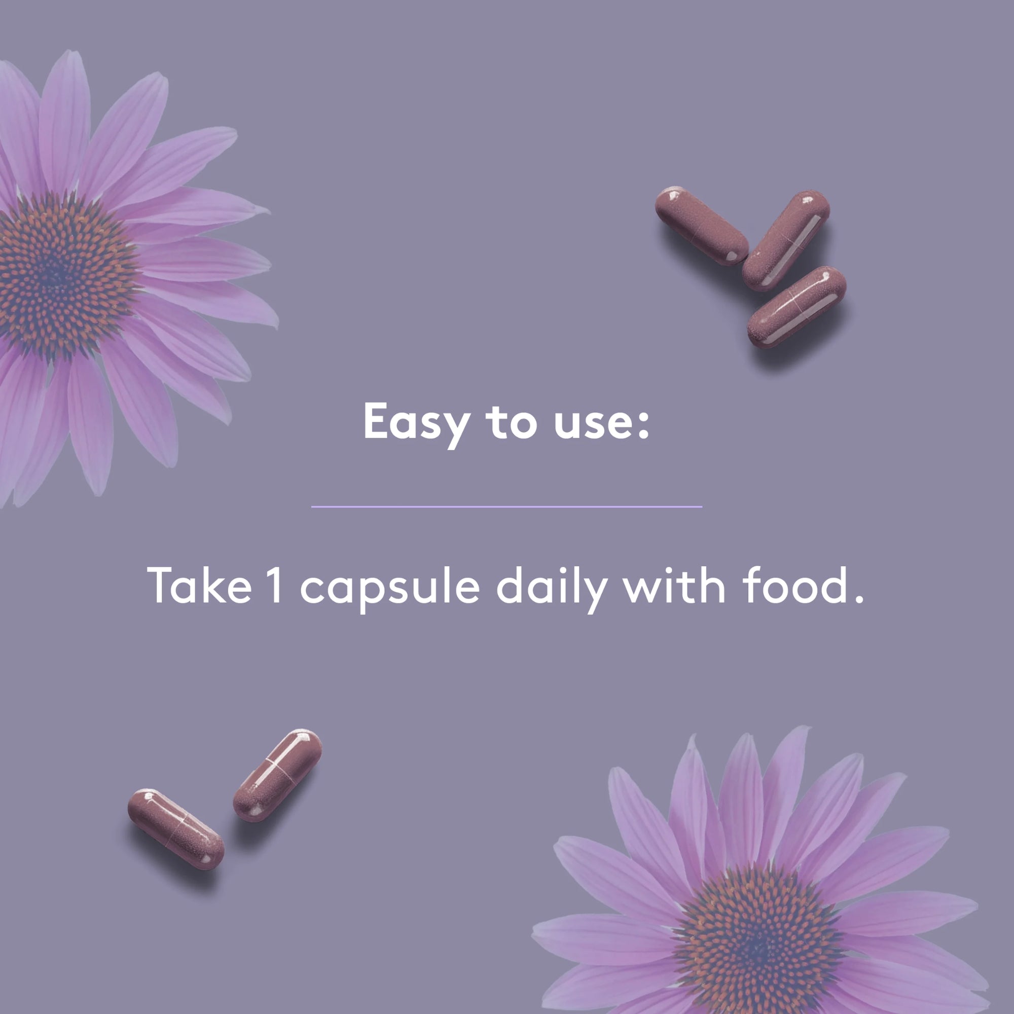 Elderberry Complex | Immune Support Blend - 120 capsules