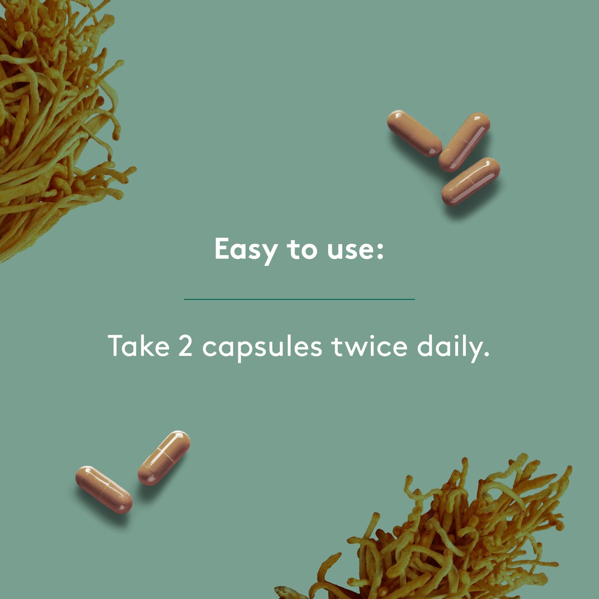 Super Mushroom Complex 500 mg - 120 capsules