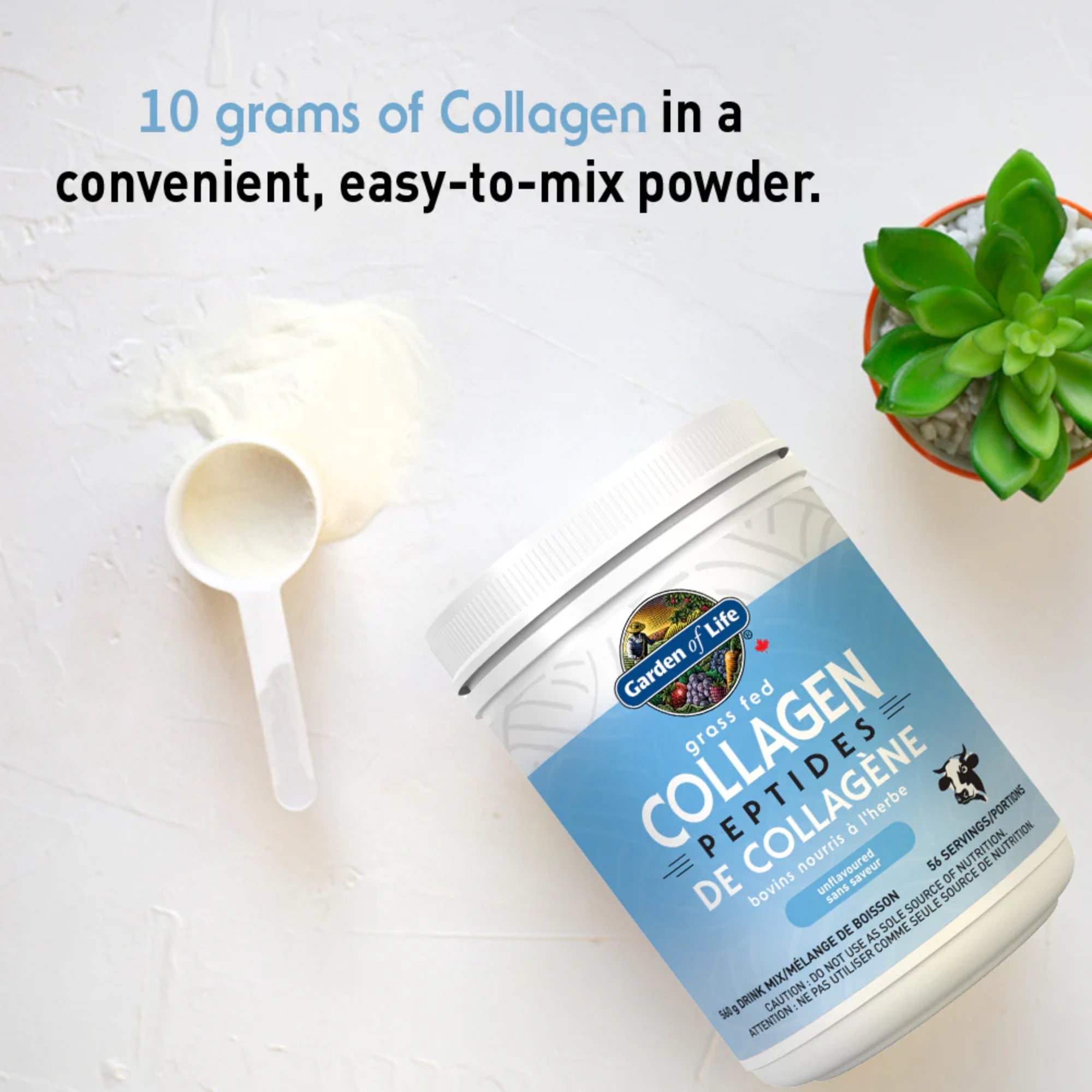 Garden of Life, Grass Fed Collagen Peptides, Unflavored, 19.75 oz (560 g)