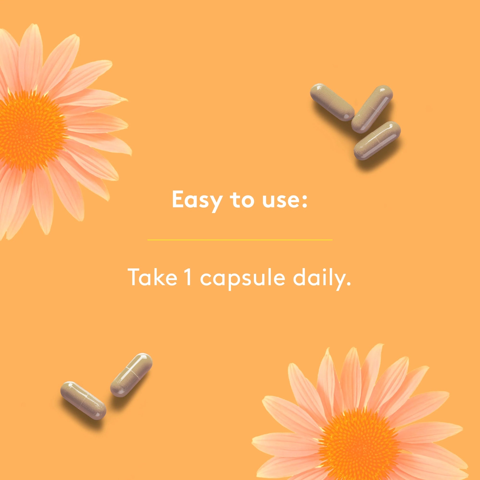 Echinacea 500 mg - 120 capsules